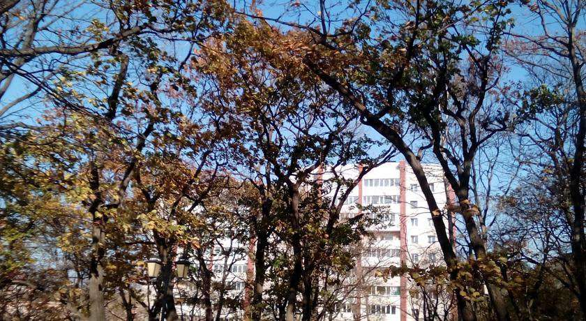 Гостевой дом Инь-Янь мини-отель на Башидзе Владивосток-19